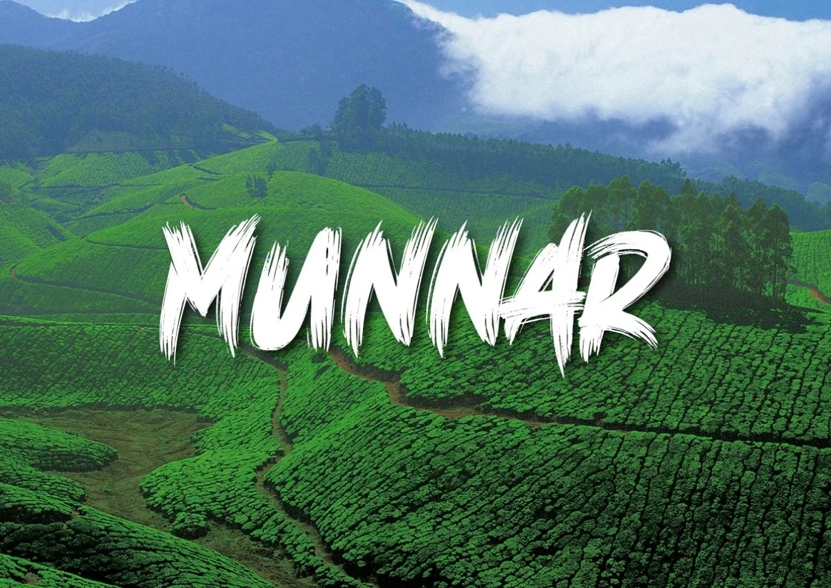 Munnar: An Emerald Embrace Where Time Breathes Slowly