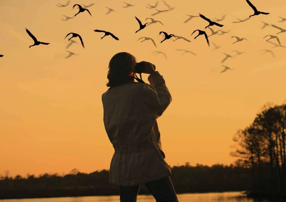 Best Bird Watching Places in India