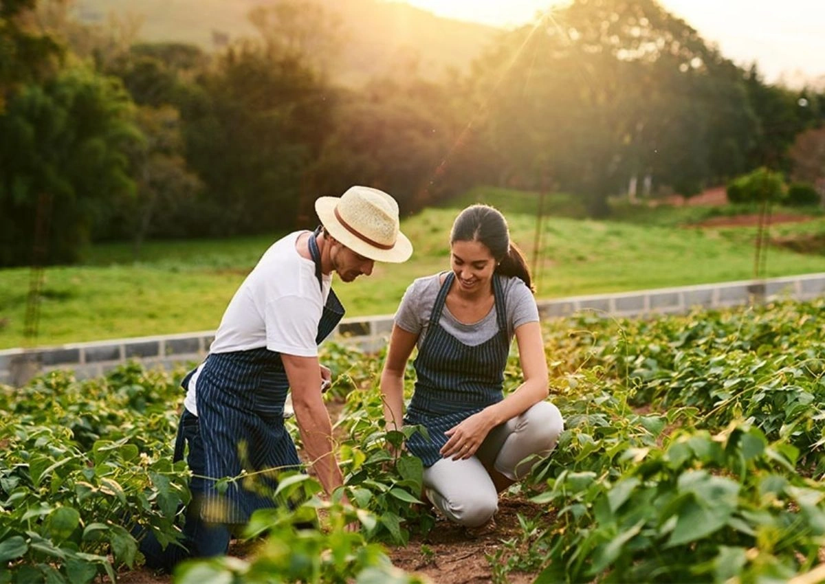 Top organic farm destinations across India 