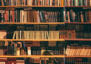 The Memoirs of Mentorship: Autobiographies Recommended by Indian Business Leaders