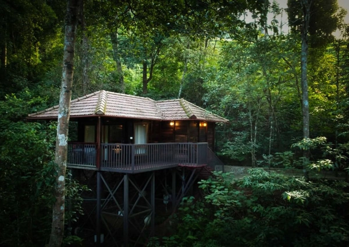 Here are 6 stunning forest stays for nature enthusiasts