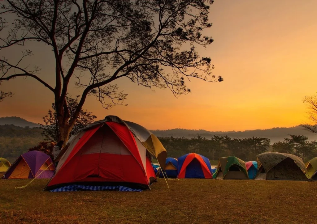 Into the Wild: Wildlife Camping in India  