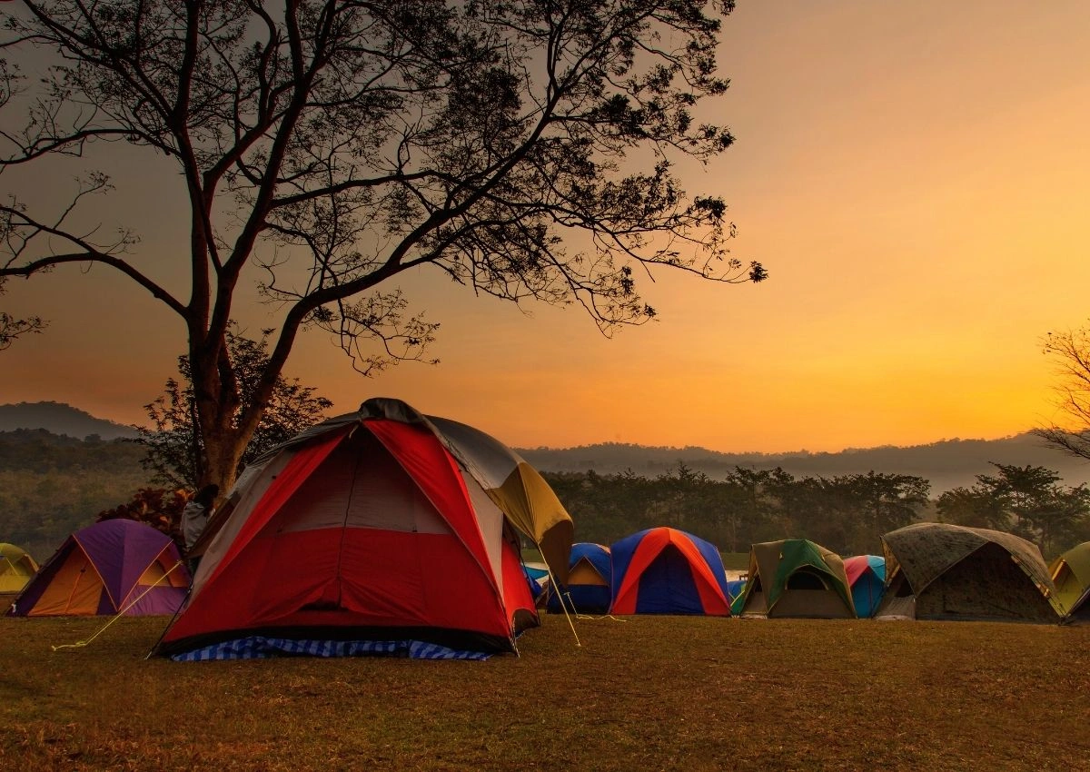 Into the Wild: Wildlife Camping in India  