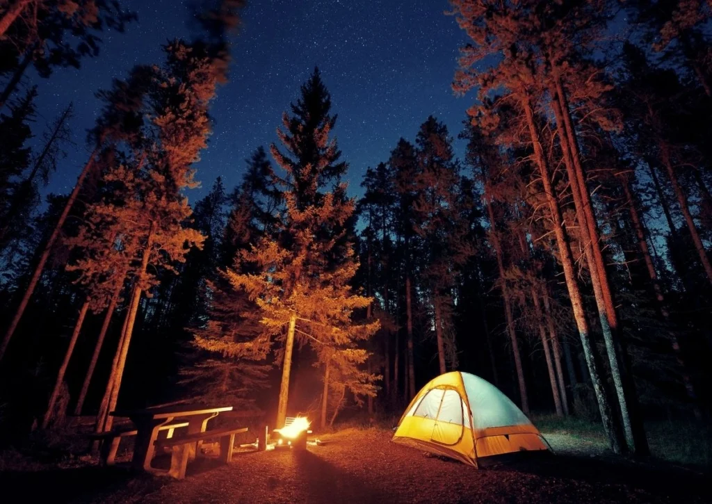 Camping Places in India: Experiencing Nature in Its Purest Form