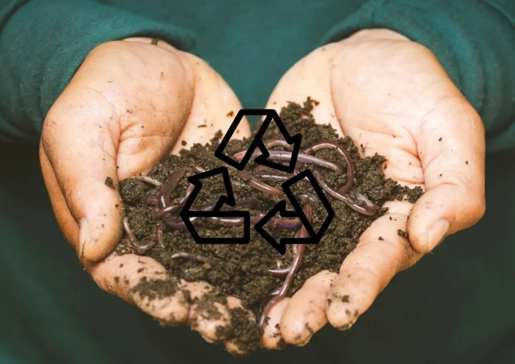 These Indian Companies are Turning Waste into Profit: An Indian Circular Economy 