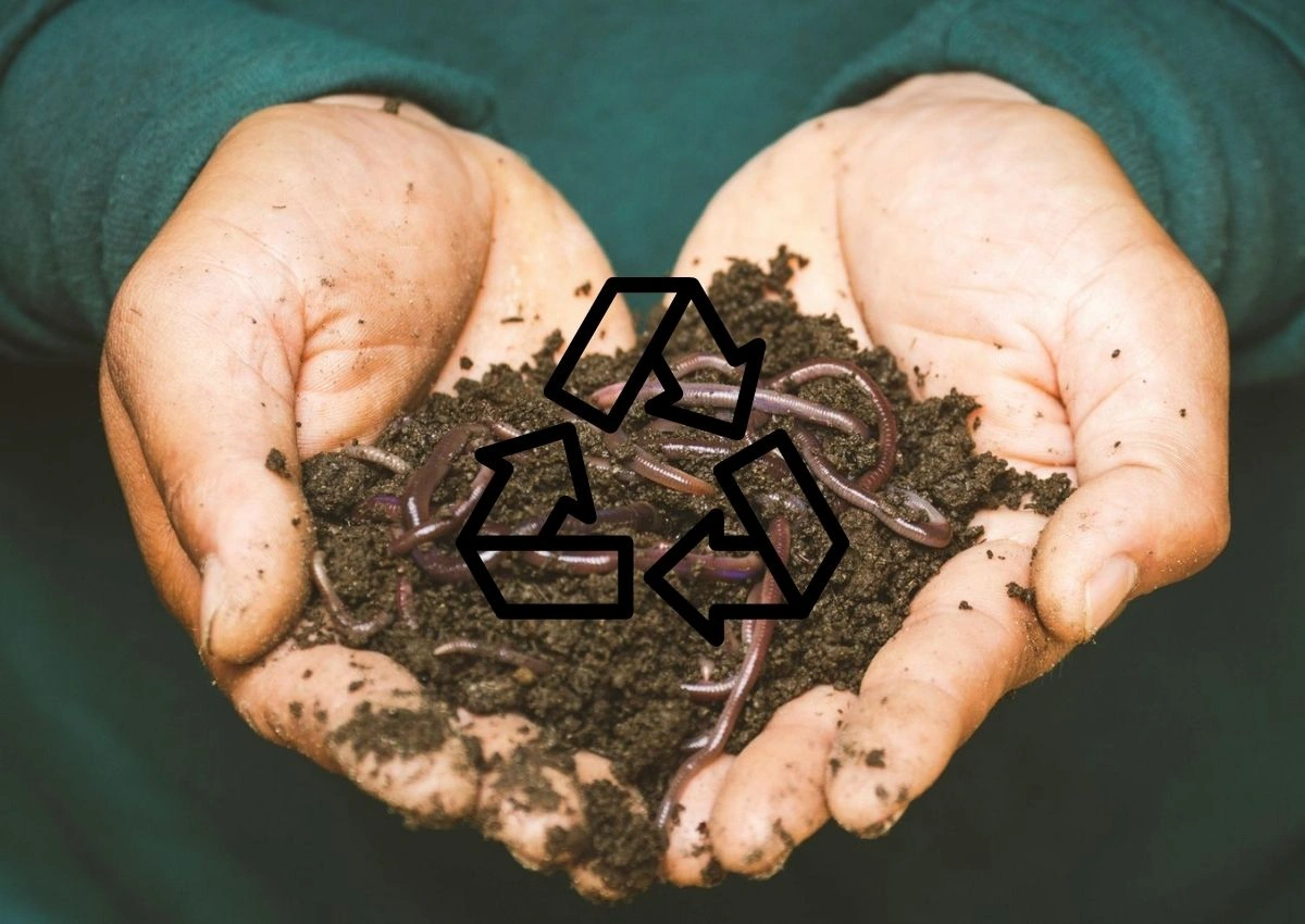 These Indian Companies are Turning Waste into Profit: An Indian Circular Economy 